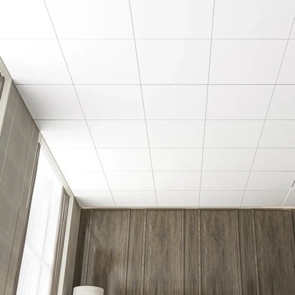 Cost-effective Plastic Ceiling